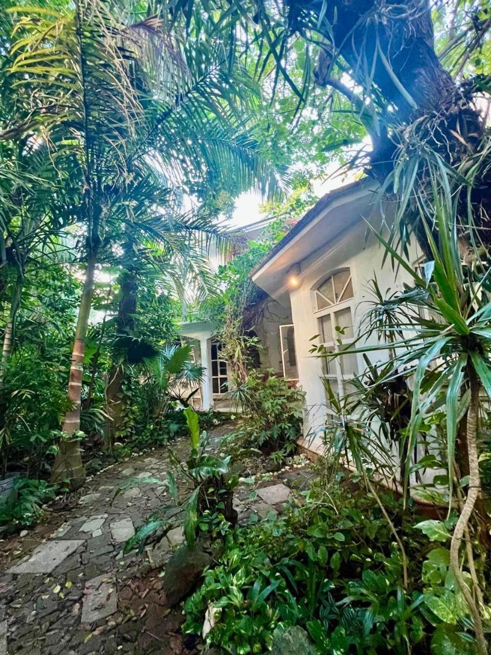 Casa Del Arquitecto Appartement Cancún